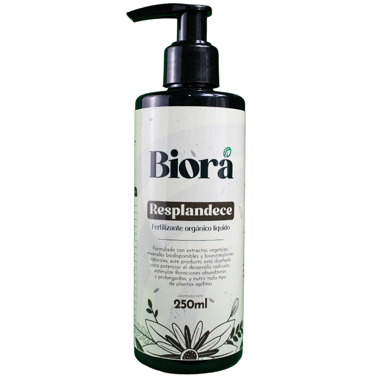Biorá Resplandece